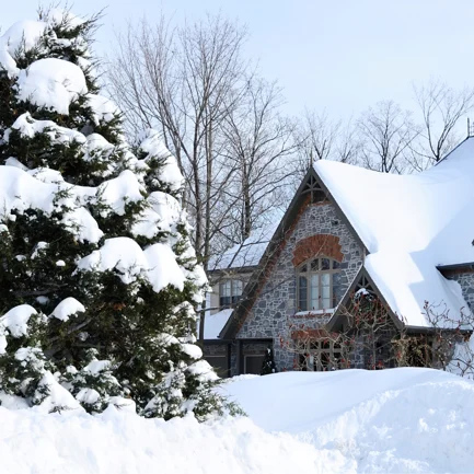 Protect Your Lawn from Snow Damage: Tips for Winter Activities
