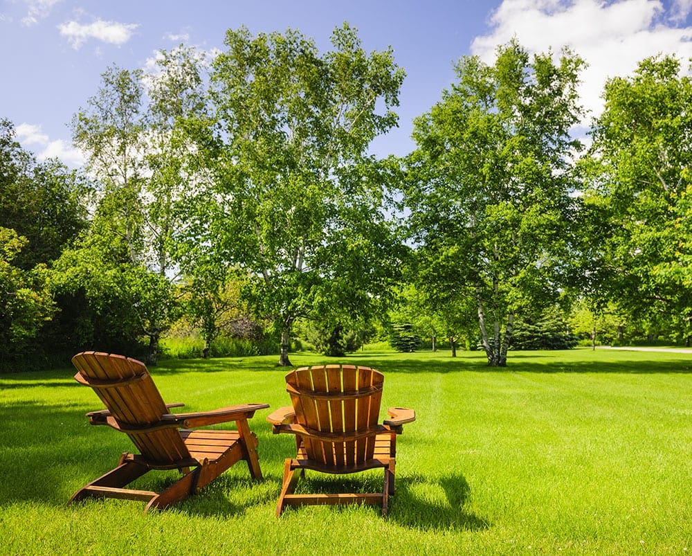 Organic Lawn Care Treatment