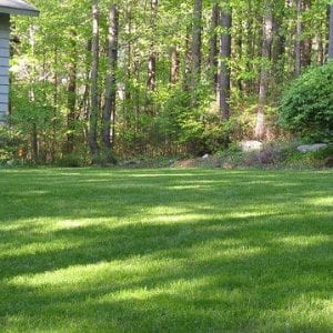 Are chemical fertilizers & pesticides harmful to my lawn? Learn about dangers of lawn chemicals and how to protect kids & pets from chemical fertilizers