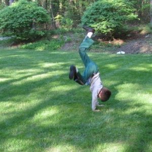 What's Different & Better About Organic Lawn Care Plans?