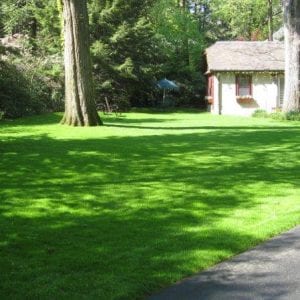 What is organic lawn management? - natural, organic herbicides and botanical products