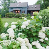 organic-pest-control organic-pest-control