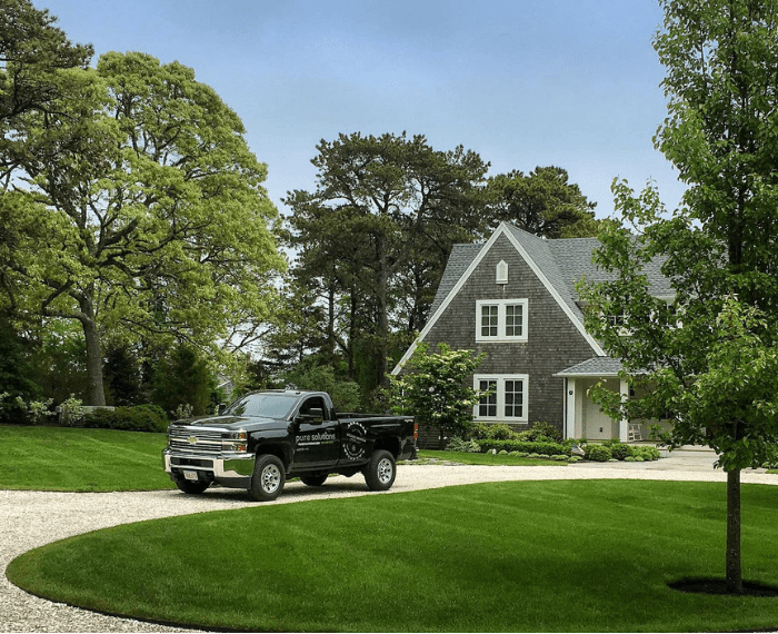 Green Lawn in Mass