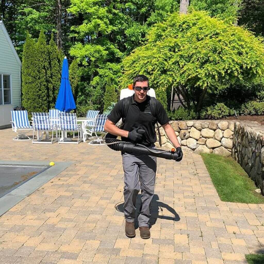 Organic Mosquito Control