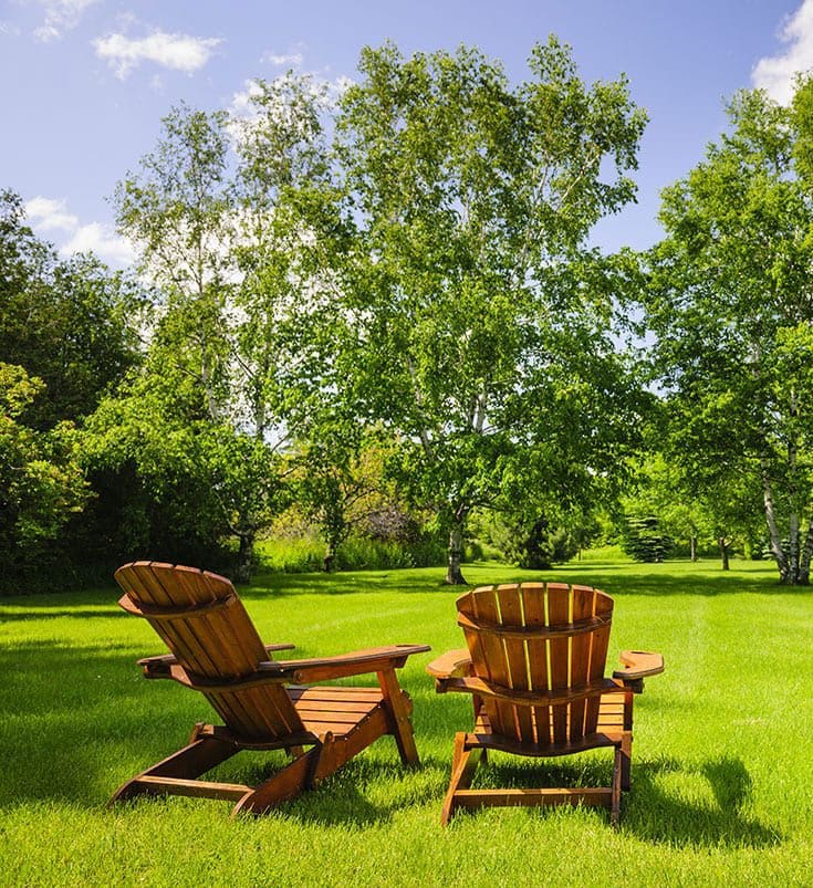 Organic Lawn Care in Ma