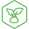 compost-icon-1 Icon 1