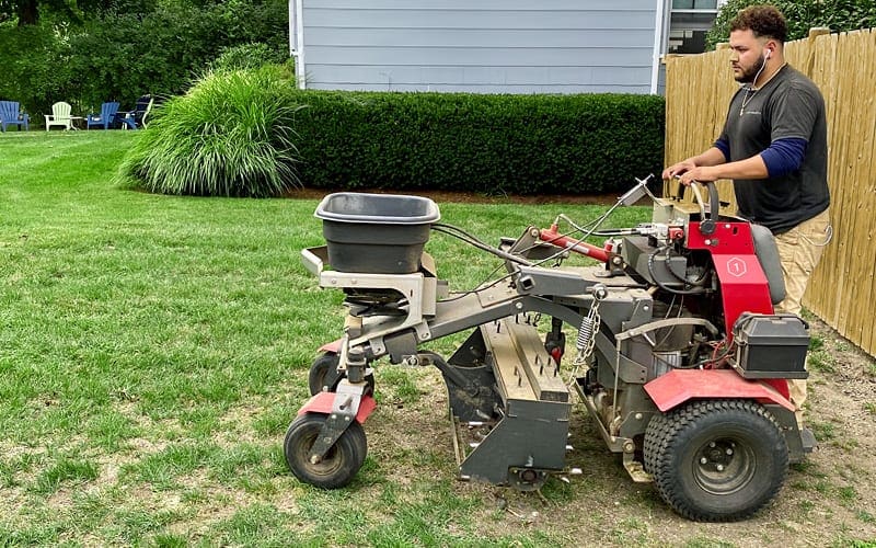 Lawn Aeration