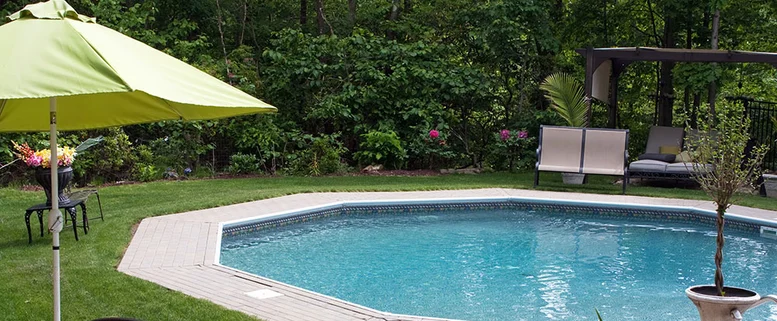 a backyard pool that can have fewer mosquitos with a few easy, natural tactics
