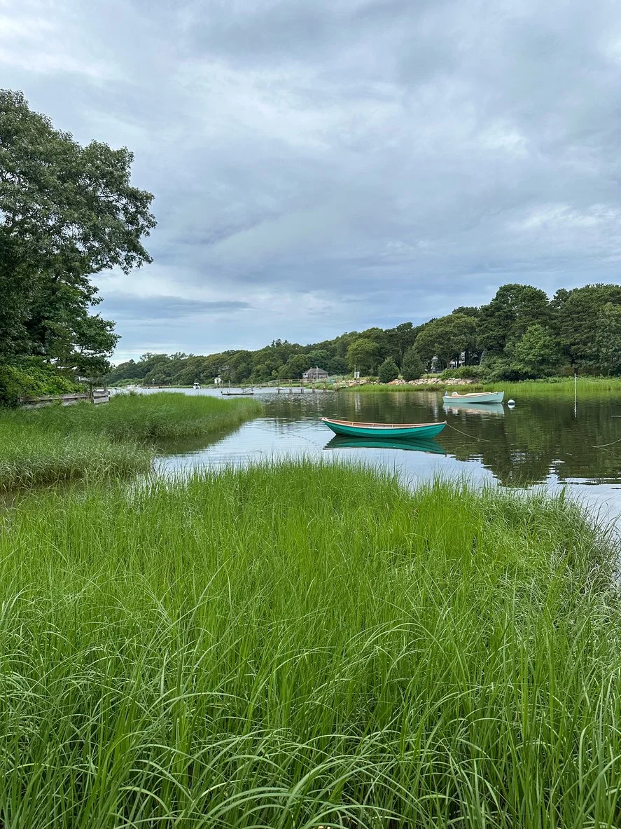 Coastal waterway near a lawn treated with organic lawn care to reduce chemical runoff.