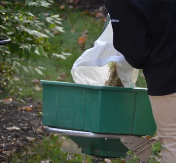 Premium cool-season grass seed blend for New England lawns, ideal for over-seeding