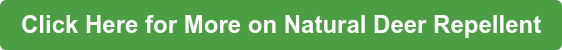 Call to Action button for More on Natural Deer Control and Repellent Treatments