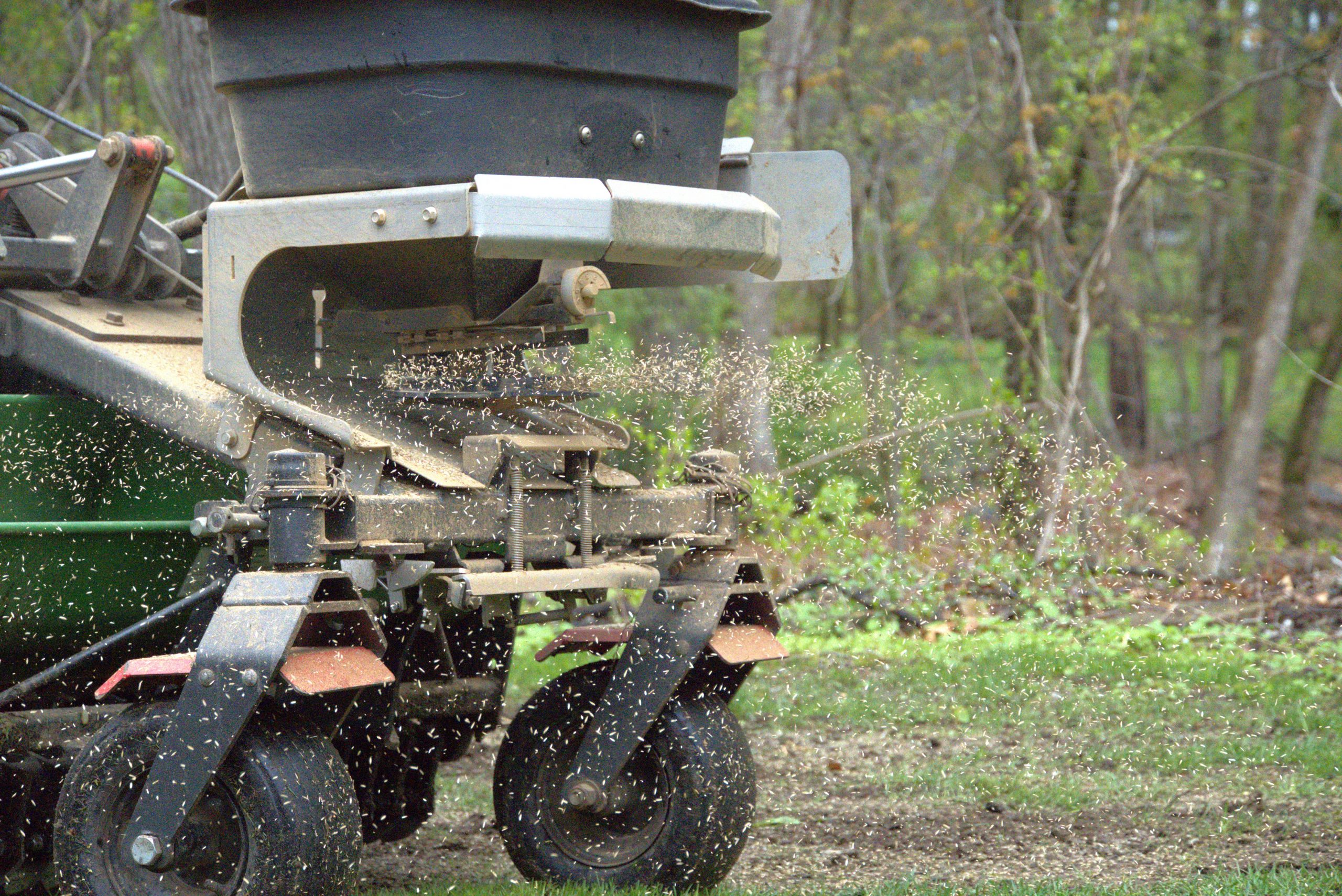 Season in Review: Key Lawn Care Insights from 2025