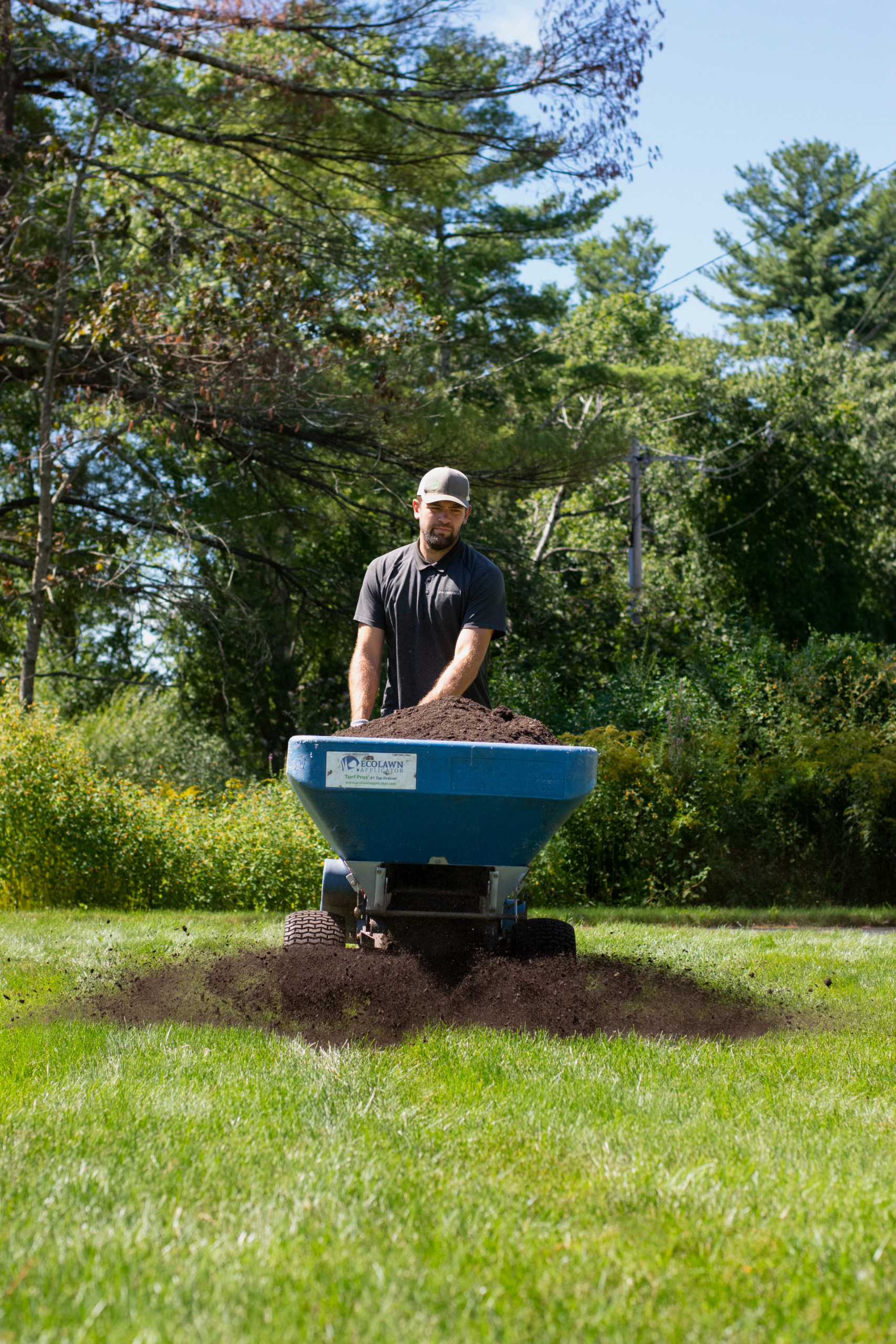 Top 5 Fall Lawn Care Questions: Answered
