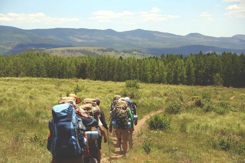 Group of people hiking along a trail trying to avoid blacklegged ticks