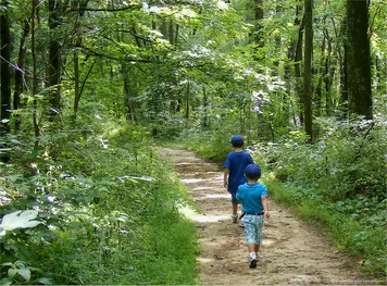 two boys hiking in a wooded area where there could be ticks in the bush