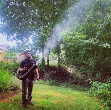 Mosquito technician spaying product into a tree using a backpack sprayer
