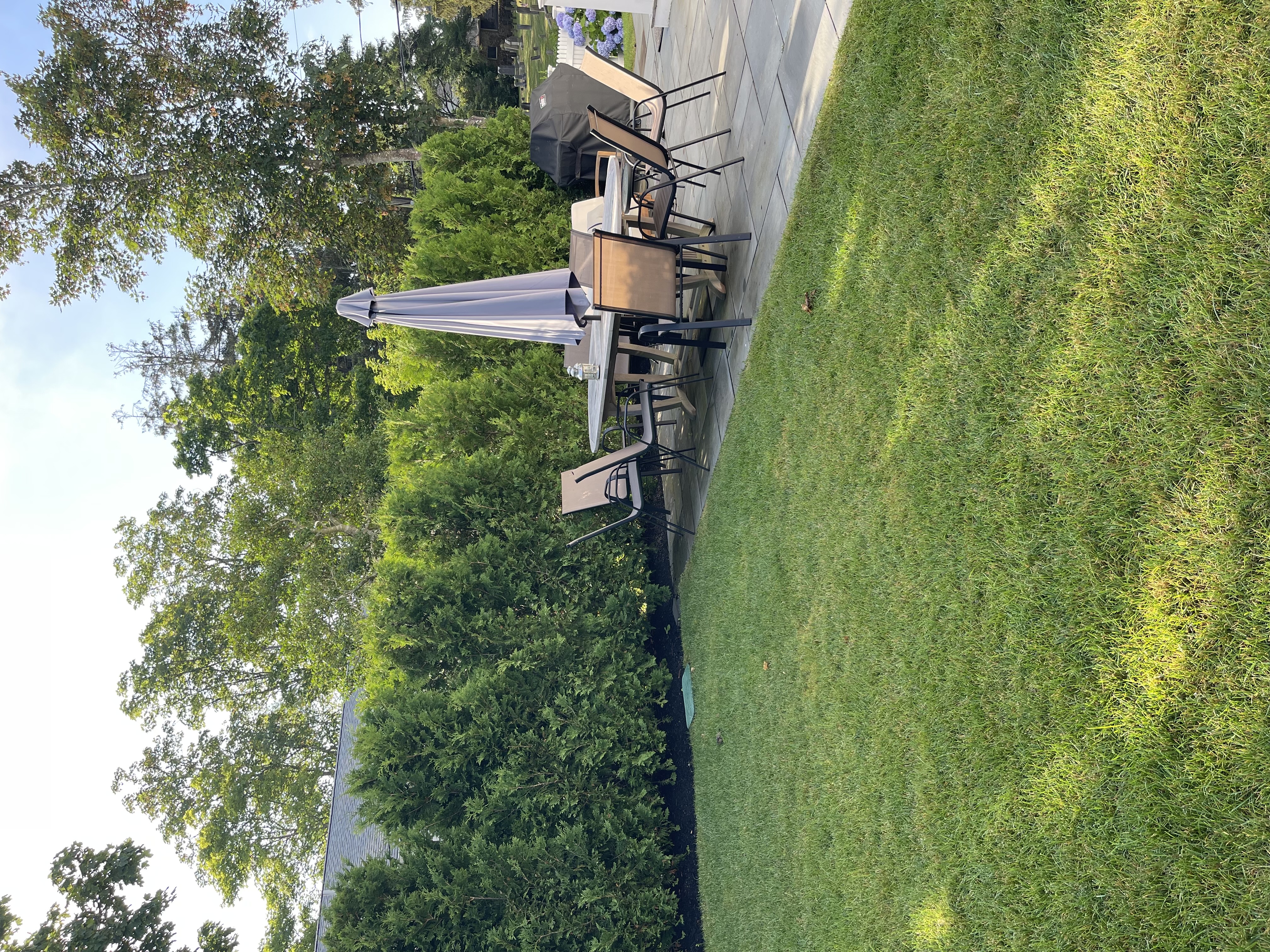 A sustainable organic lawn that needs fewer treatments, helping to lower long-term maintenance costs.