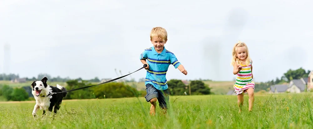 protect your lawn with natural tick control so your kids and pets can run freely and safely