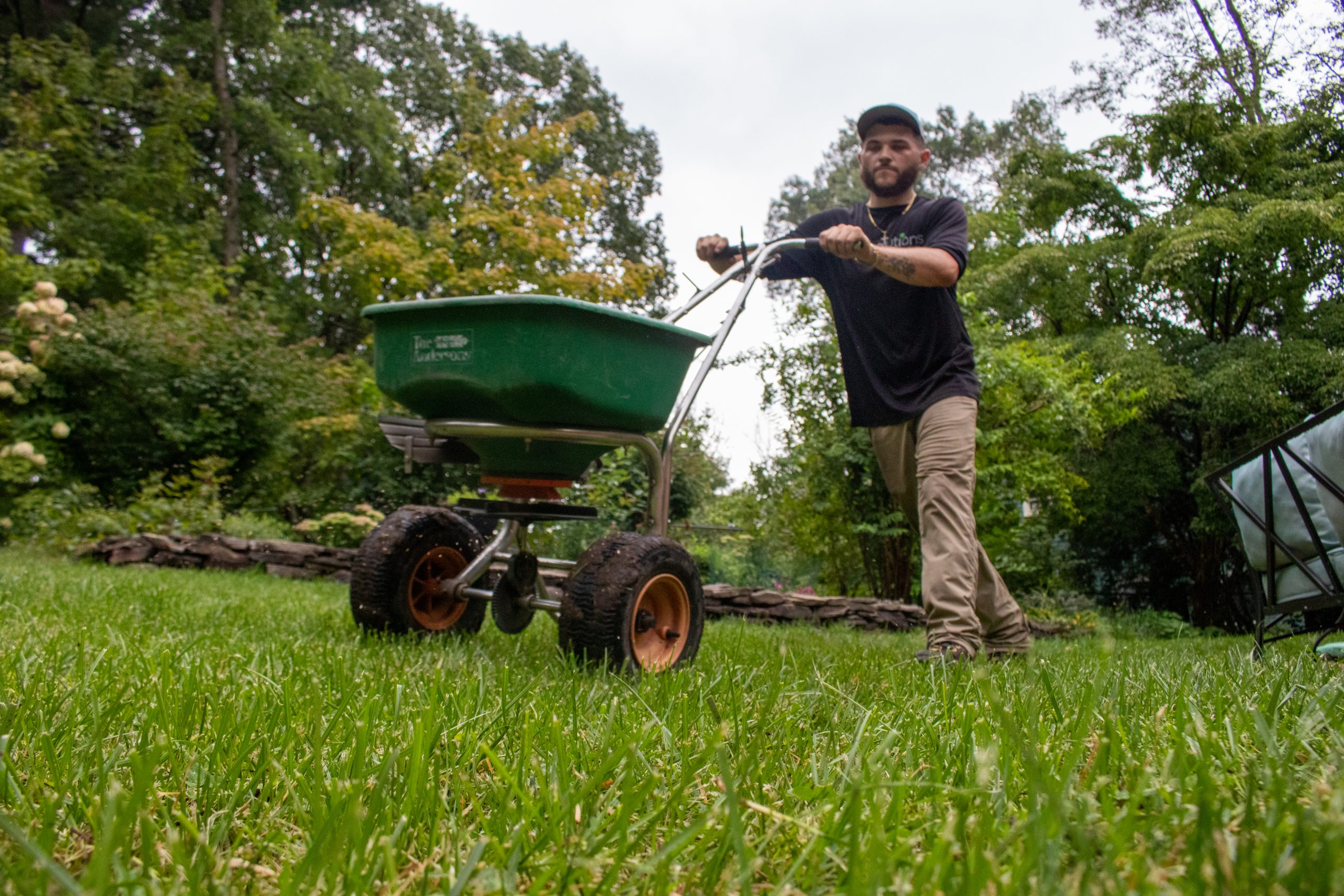 A Pure Solutions technician uses a seeding machine to spread seed across a lawn. 