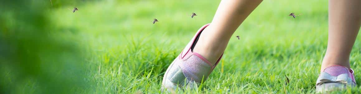 Child’s legs being bitten by mosquitoes, showing the risk of mosquito-borne illnesses like EEE and WNV