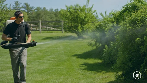 Mosquito & Tick Spraying