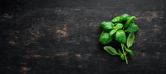 basil for treating mosquito bites
