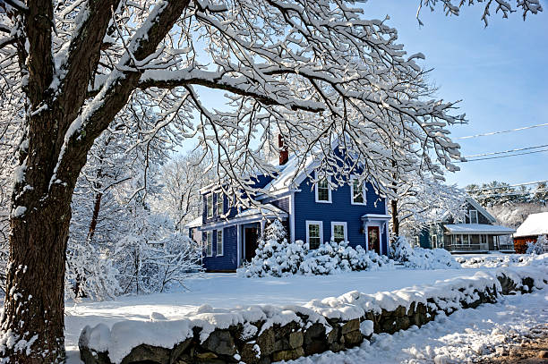 Why a Snowy Winter Can Mean More Ticks This Spring