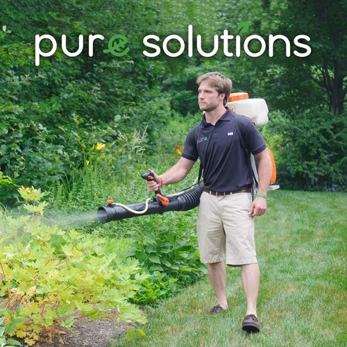 a Pure Solutions professional spraying tick control solution on a client's lawn on Cape Cod