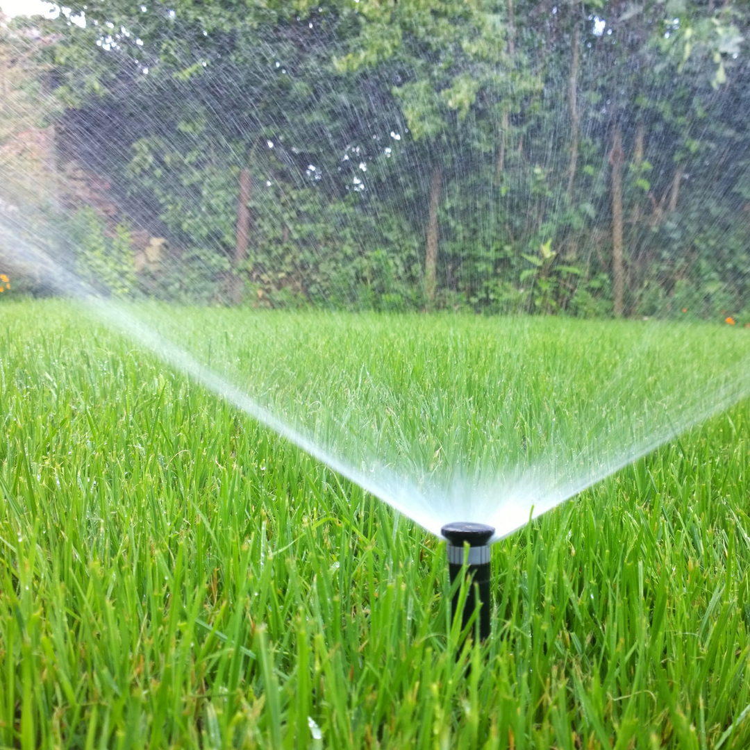 Automatic sprinkler watering a green lawn early in the morning under soft sunlight