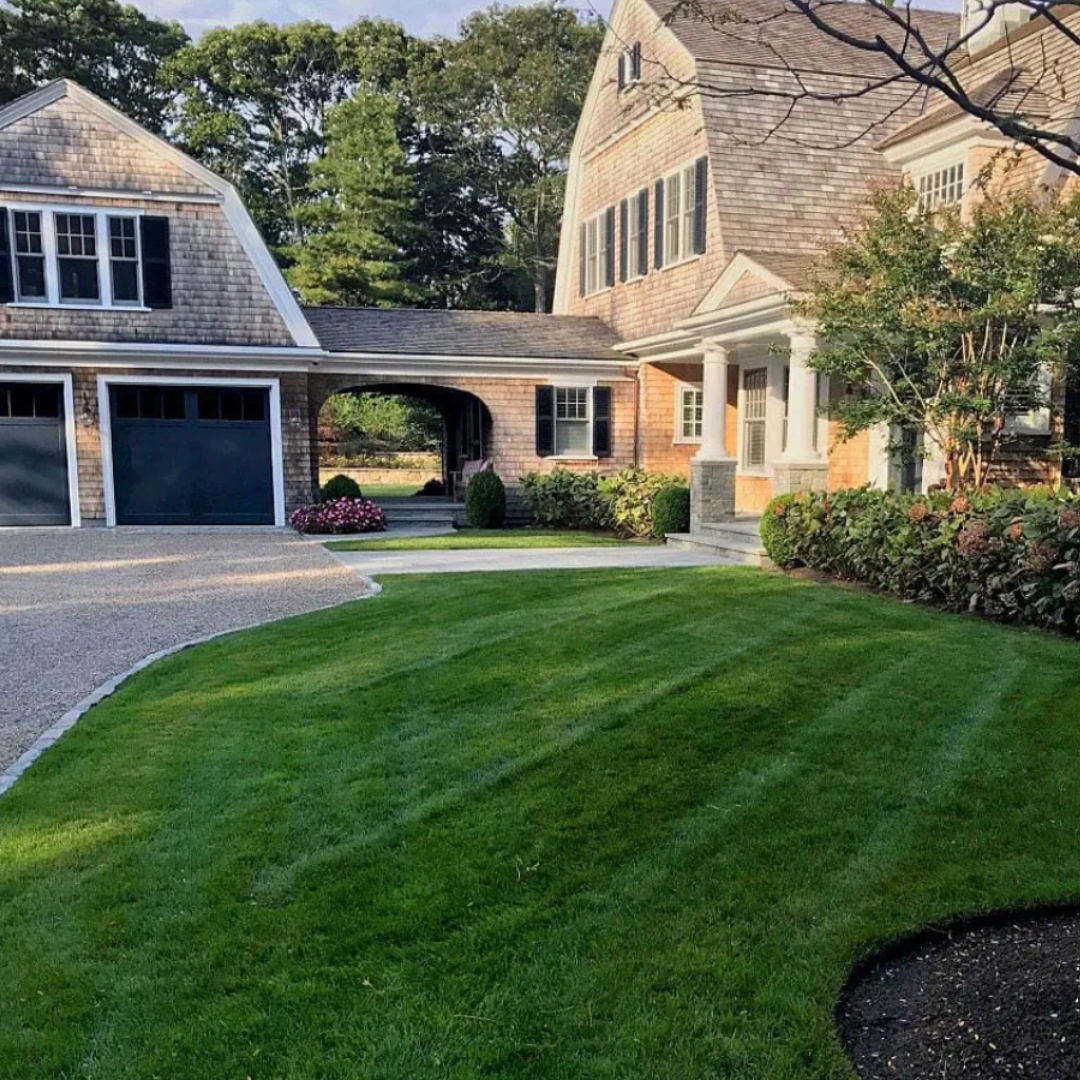 Well-maintained, lush green lawn with evenly cut grass on a sunny summer day