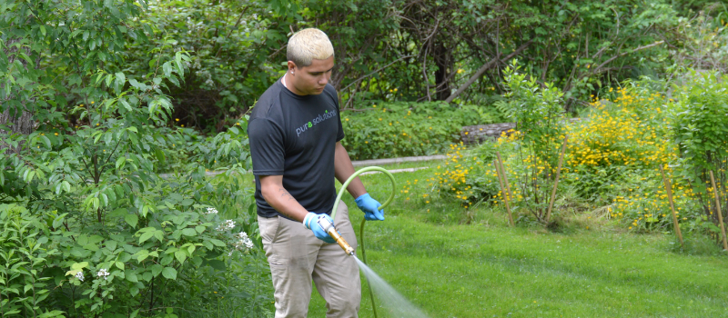 Lawn care in chatham cape cod